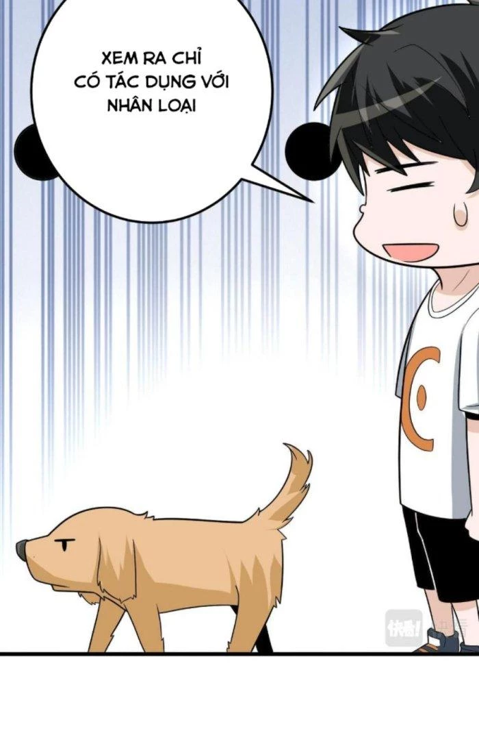 Linh Khí Bạo Phát, Ta Vô Tình Thức Tỉnh Thành Thần Chapter 6 - 39