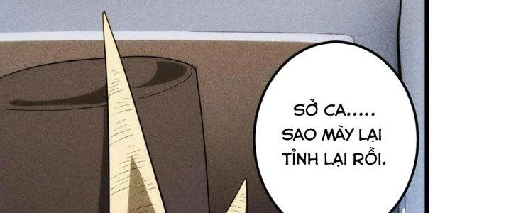 Linh Khí Bạo Phát, Ta Vô Tình Thức Tỉnh Thành Thần Chapter 17 - 160