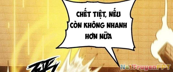 Linh Khí Bạo Phát, Ta Vô Tình Thức Tỉnh Thành Thần Chapter 19 - 156