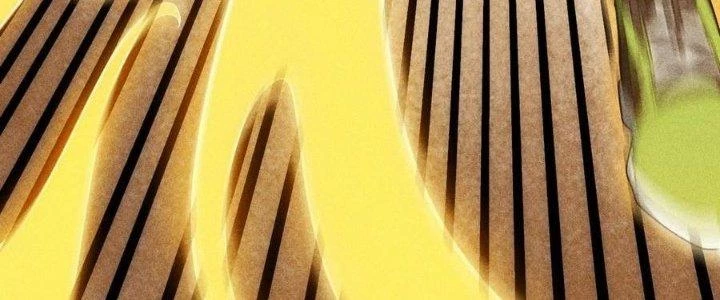 Linh Khí Bạo Phát, Ta Vô Tình Thức Tỉnh Thành Thần Chapter 19 - 188
