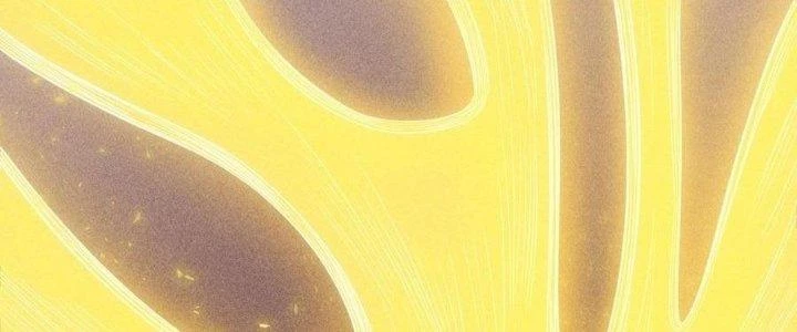 Linh Khí Bạo Phát, Ta Vô Tình Thức Tỉnh Thành Thần Chapter 19 - 287