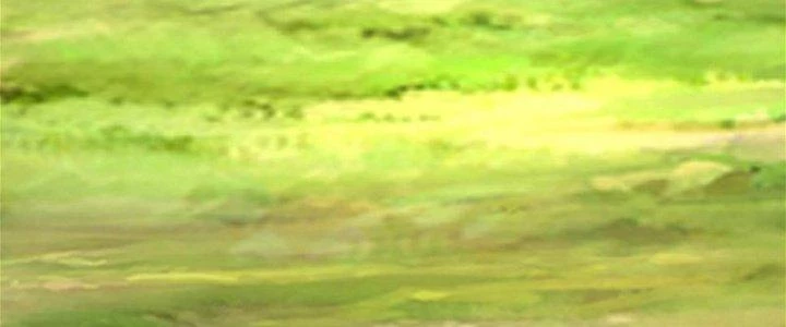 Toàn Dân Lãnh Chủ: Bắt Đầu Xây Dựng Bất Hủ Tiên Vực Chapter 8 - 16