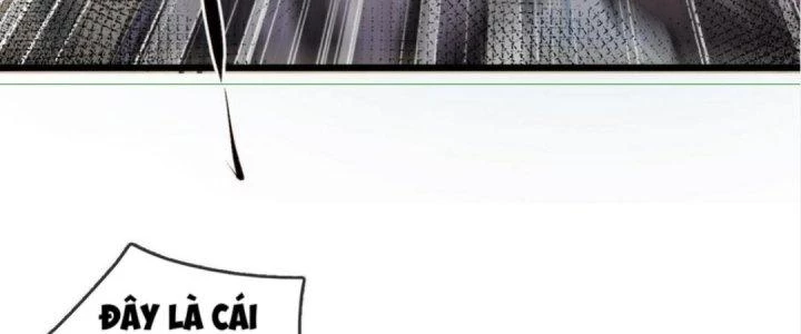 Nhà Sưu Tập Dị Thường Chapter 8 - 102