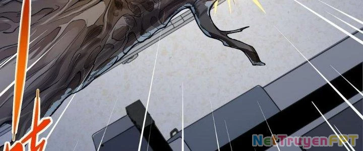 Nhà Sưu Tập Dị Thường Chapter 11 - 43