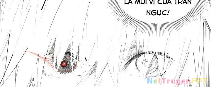 Nhà Sưu Tập Dị Thường Chapter 11 - 252