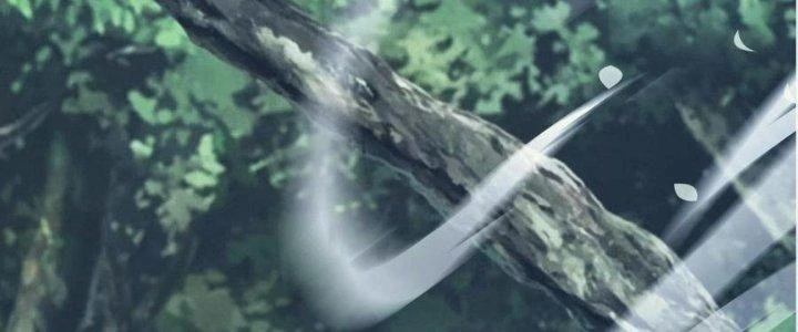 Nhà Sưu Tập Dị Thường Chapter 12 - 247