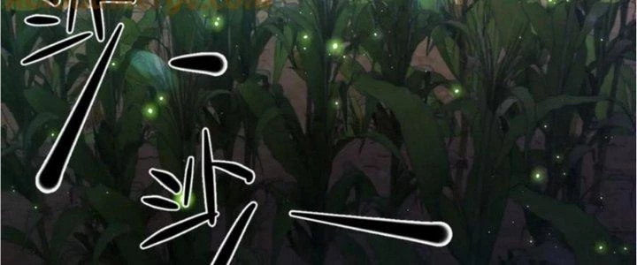 Nhà Sưu Tập Dị Thường Chapter 16 - 67