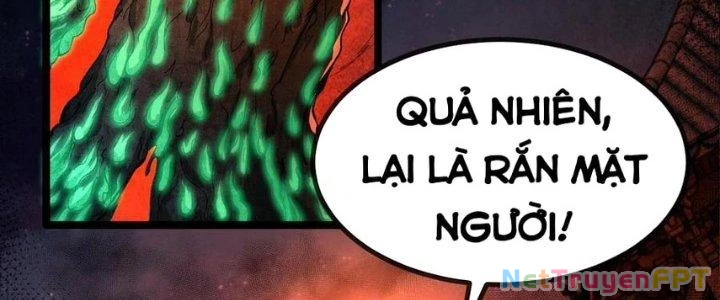 Nhà Sưu Tập Dị Thường Chapter 18 - 247