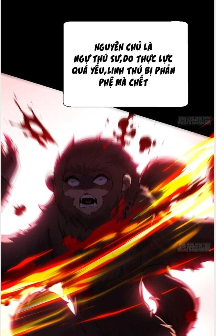 Thần Cấp Khế Ước: Bắt Đầu Từ Một Con Mèo Chapter 1 - 27