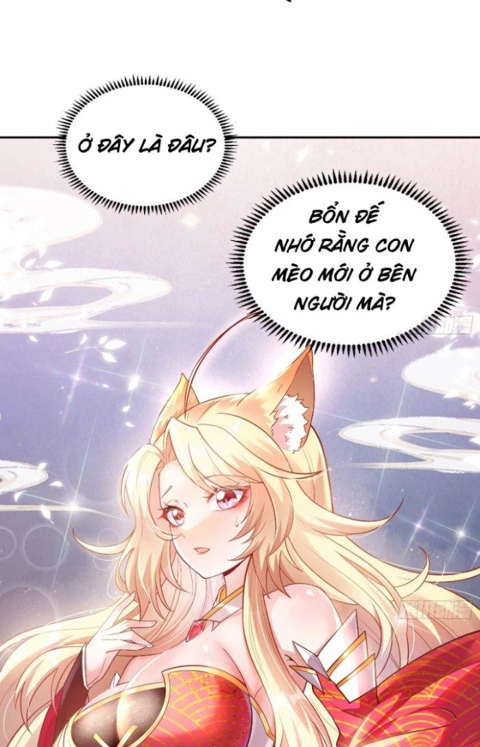 Thần Cấp Khế Ước: Bắt Đầu Từ Một Con Mèo Chapter 1 - 52
