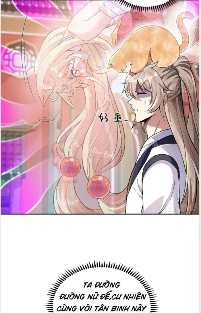 Thần Cấp Khế Ước: Bắt Đầu Từ Một Con Mèo Chapter 2 - 4