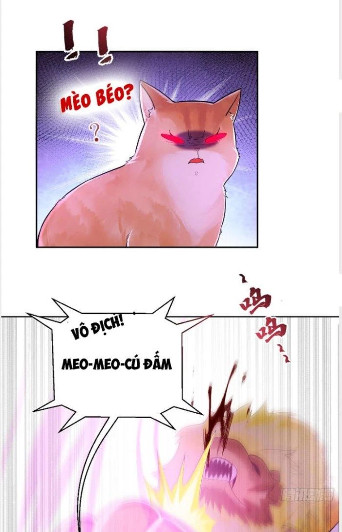 Thần Cấp Khế Ước: Bắt Đầu Từ Một Con Mèo Chapter 2 - 9