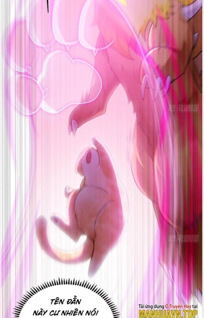 Thần Cấp Khế Ước: Bắt Đầu Từ Một Con Mèo Chapter 2 - 10