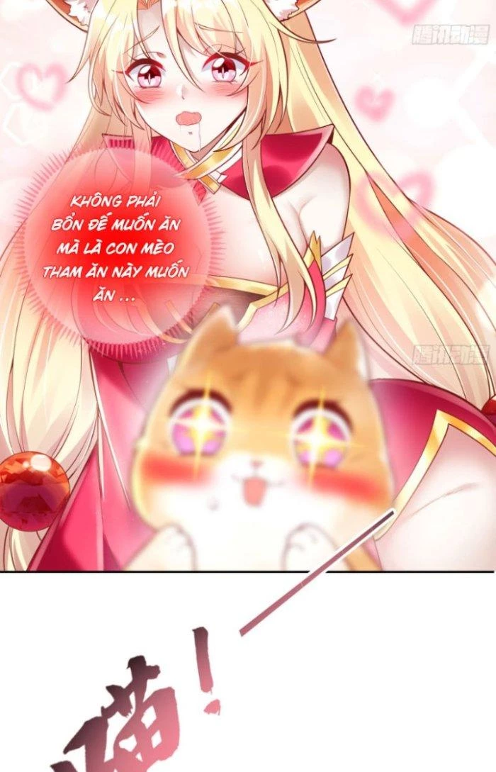 Thần Cấp Khế Ước: Bắt Đầu Từ Một Con Mèo Chapter 2 - 23