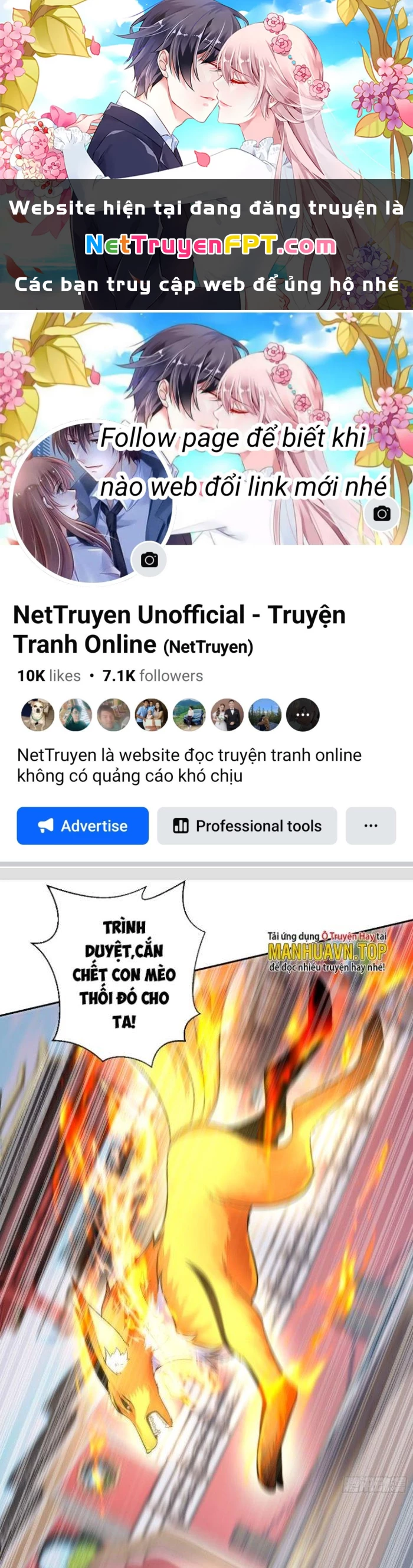 Thần Cấp Khế Ước: Bắt Đầu Từ Một Con Mèo Chapter 3 - 1
