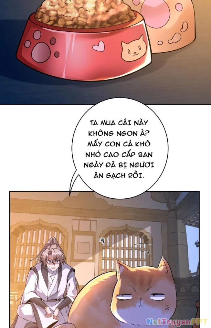 Thần Cấp Khế Ước: Bắt Đầu Từ Một Con Mèo Chapter 4 - 15