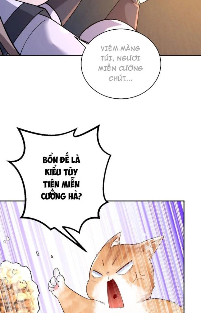 Thần Cấp Khế Ước: Bắt Đầu Từ Một Con Mèo Chapter 4 - 17