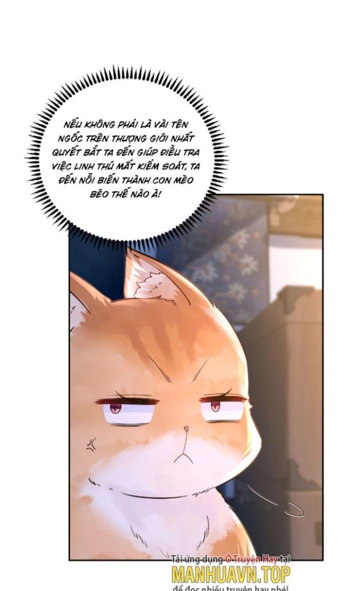 Thần Cấp Khế Ước: Bắt Đầu Từ Một Con Mèo Chapter 4 - 27