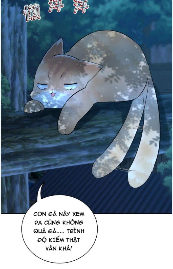 Thần Cấp Khế Ước: Bắt Đầu Từ Một Con Mèo Chapter 5 - 16