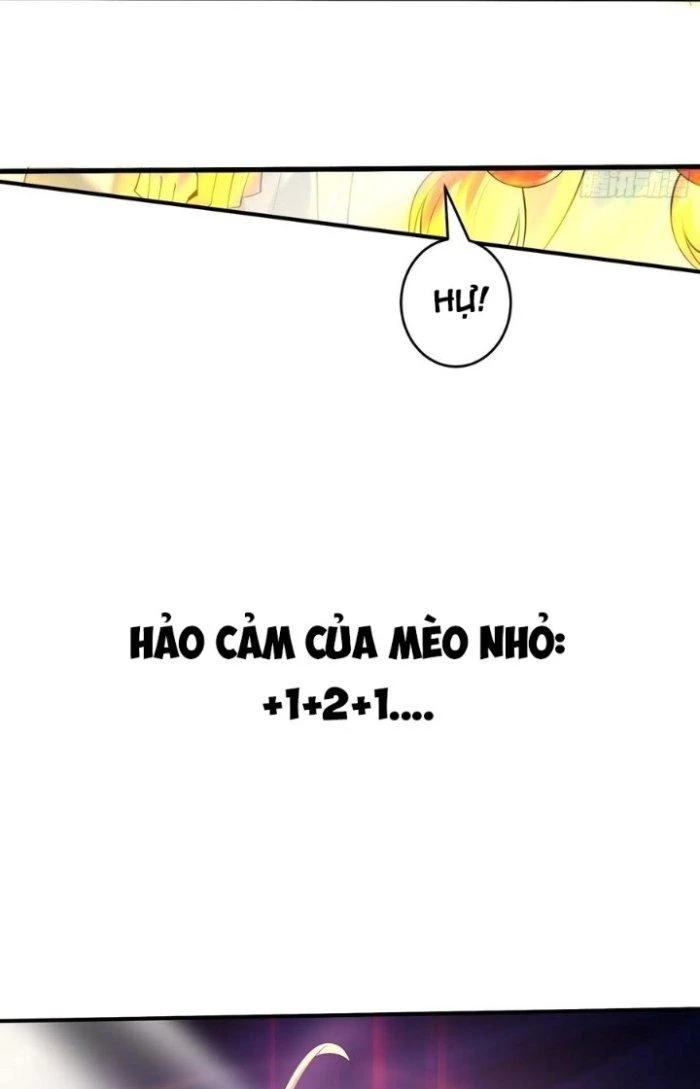 Thần Cấp Khế Ước: Bắt Đầu Từ Một Con Mèo Chapter 16 - 3