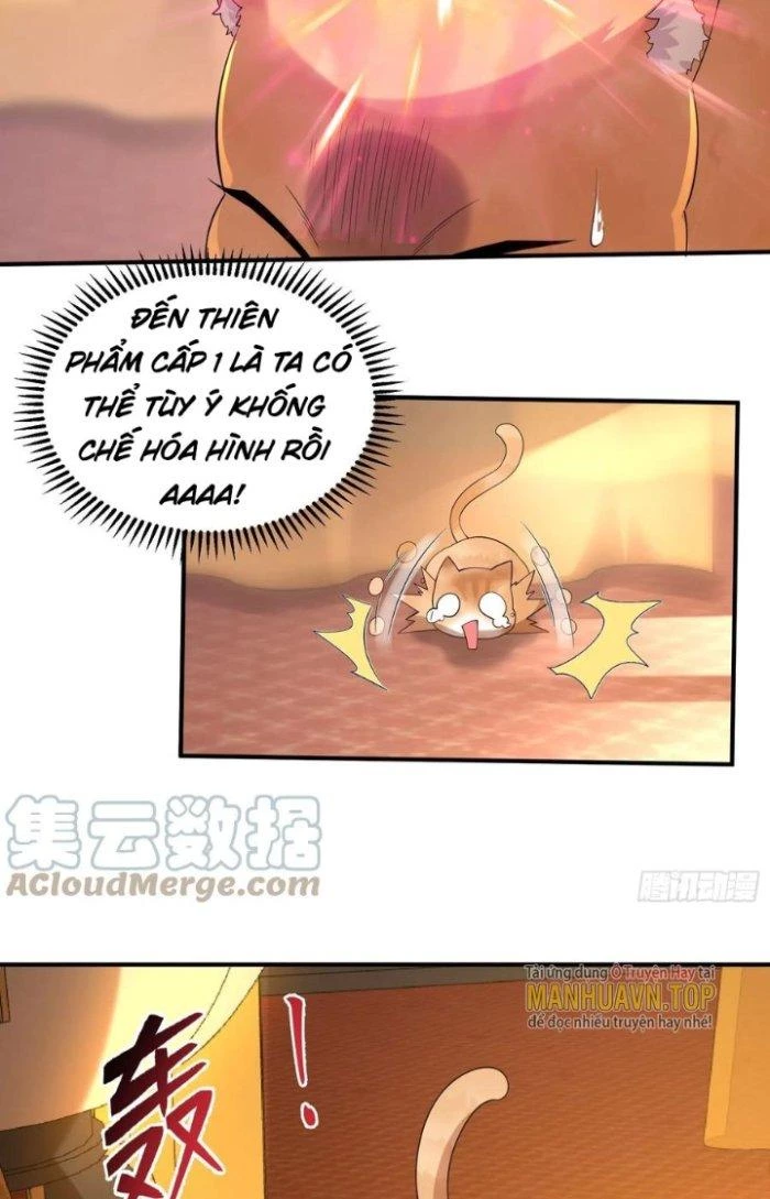 Thần Cấp Khế Ước: Bắt Đầu Từ Một Con Mèo Chapter 16 - 8