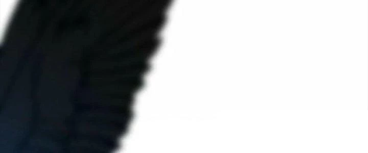 Thần Cấp Khế Ước: Bắt Đầu Từ Một Con Mèo Chapter 31 - 86