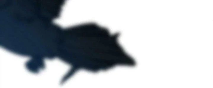 Thần Cấp Khế Ước: Bắt Đầu Từ Một Con Mèo Chapter 31 - 87