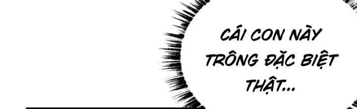 Toàn Thuộc Tính Võ Đạo Chapter 62 - 17