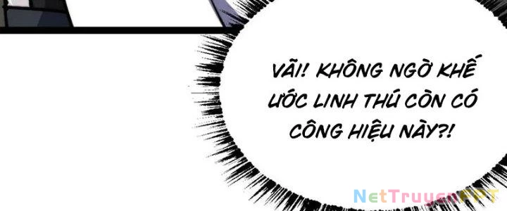 Toàn Thuộc Tính Võ Đạo Chapter 67 - 196