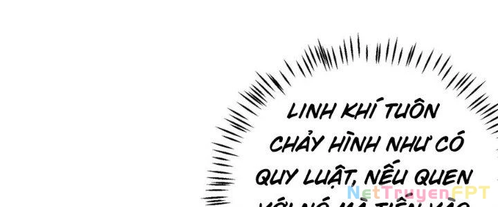Linh Khí Khôi Phục: Ta Bắt Đầu Có Trảm Thiên Chi Nhãn Chapter 16 - 88