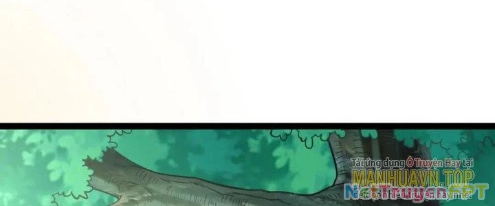 Linh Khí Khôi Phục: Ta Bắt Đầu Có Trảm Thiên Chi Nhãn Chapter 19 - 211