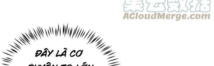 Linh Khí Khôi Phục: Ta Bắt Đầu Có Trảm Thiên Chi Nhãn Chapter 22 - 241