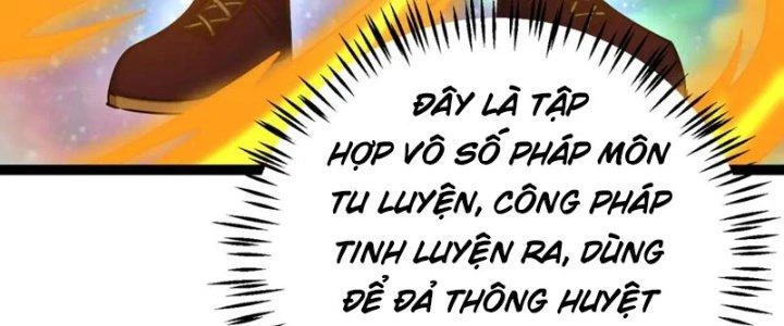 Linh Khí Khôi Phục: Ta Bắt Đầu Có Trảm Thiên Chi Nhãn Chapter 23 - 22