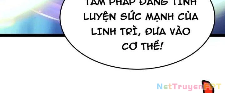 Linh Khí Khôi Phục: Ta Bắt Đầu Có Trảm Thiên Chi Nhãn Chapter 25 - 172
