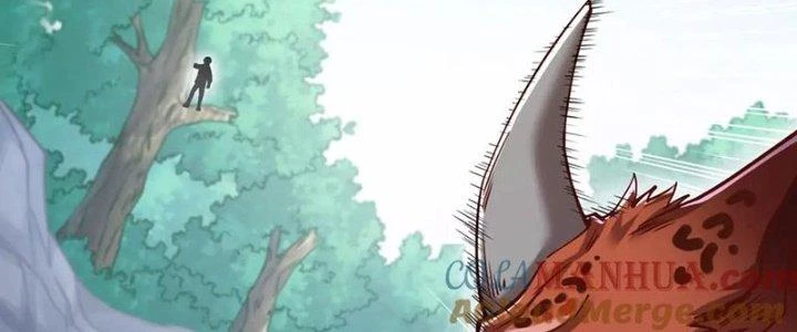 Linh Khí Khôi Phục: Ta Bắt Đầu Có Trảm Thiên Chi Nhãn Chapter 27 - 224