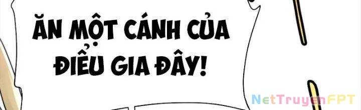 Linh Khí Khôi Phục: Ta Bắt Đầu Có Trảm Thiên Chi Nhãn Chapter 29 - 13