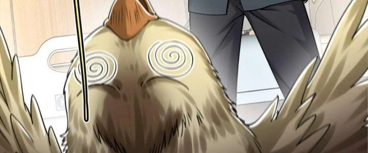 Linh Khí Khôi Phục: Ta Bắt Đầu Có Trảm Thiên Chi Nhãn Chapter 29 - 58