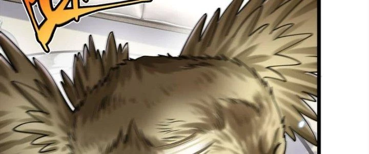Linh Khí Khôi Phục: Ta Bắt Đầu Có Trảm Thiên Chi Nhãn Chapter 29 - 63