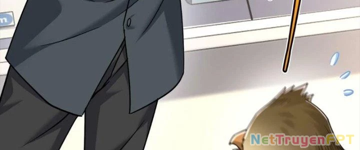 Linh Khí Khôi Phục: Ta Bắt Đầu Có Trảm Thiên Chi Nhãn Chapter 29 - 96