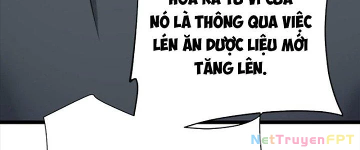 Linh Khí Khôi Phục: Ta Bắt Đầu Có Trảm Thiên Chi Nhãn Chapter 29 - 166