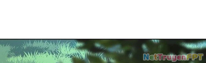 Chiếm Cái Đỉnh Núi Làm Đại Vương Chapter 160 - 117