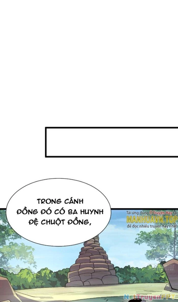 Lô Đỉnh Độc Quyền Của Các Nữ Đế Tương Lai Chapter 23 - 19