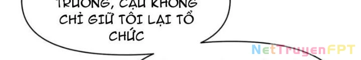 Ta Gặp Linh Khí Khôi Phục Giả Chapter 19 - 24