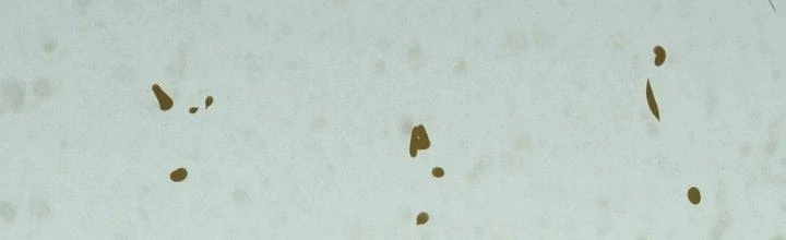 Tinh Lao Chapter 14 - 37