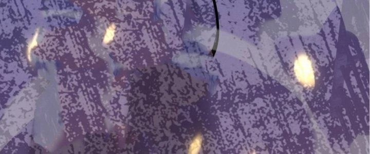 Tinh Lao Chapter 16 - 76