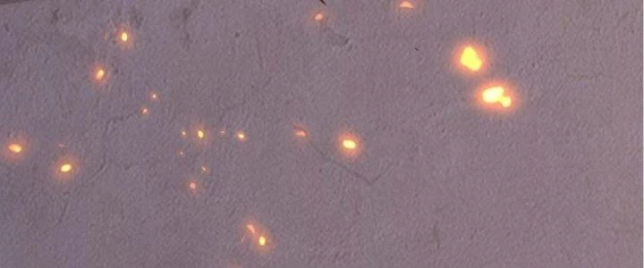 Tinh Lao Chapter 19 - 317