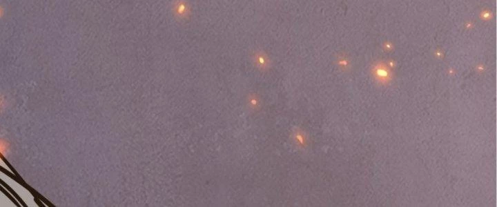 Tinh Lao Chapter 19 - 318