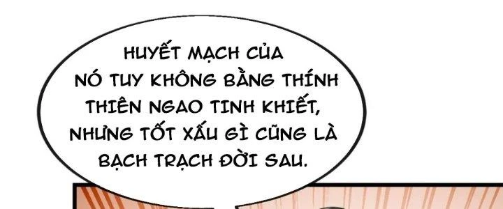 Yêu Nữ Trốn Chỗ Nào Chapter 9 - 115