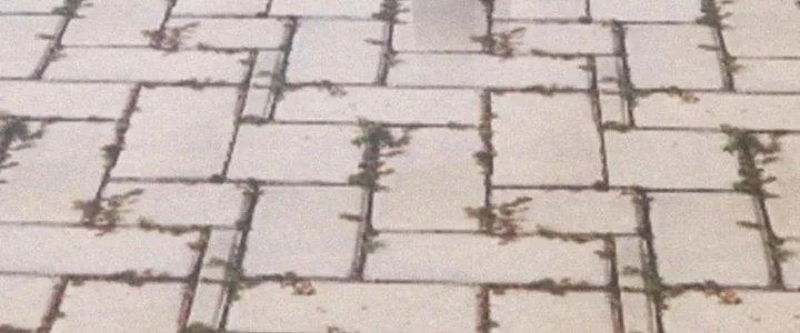 Trải Nghiệm Trở Thành Huyết Tộc Chapter 6 - 118