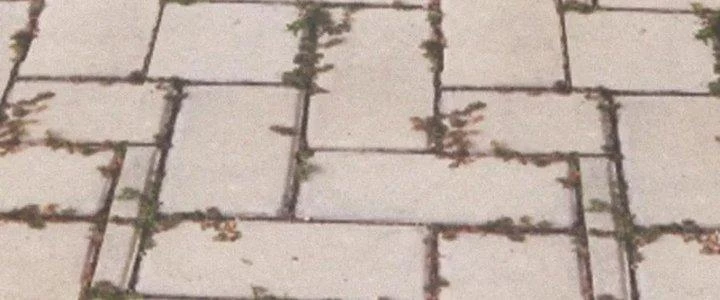 Trải Nghiệm Trở Thành Huyết Tộc Chapter 6 - 119